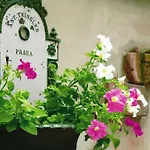 Διαμέρισμα Teytz *
