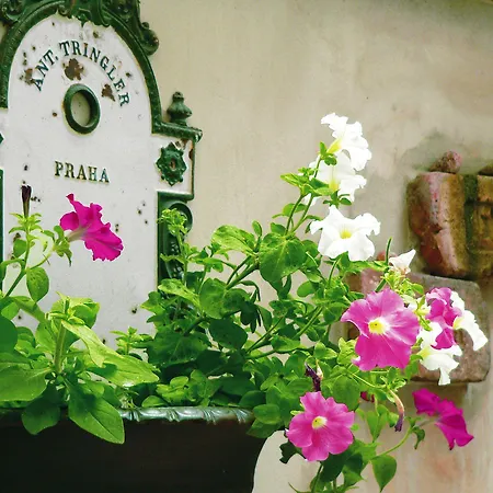 Apartmán Teytz *